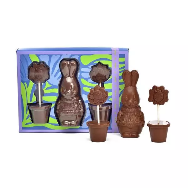 Box of Two Chocolate Flower Pots And A Rabbit Chocolate Figurine, Easter Gift